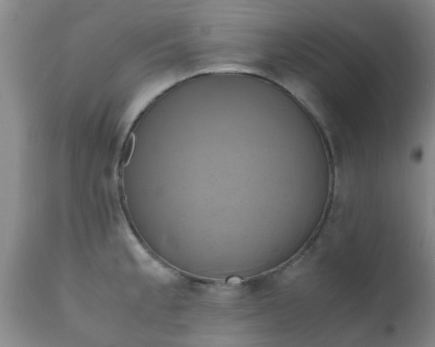 X0000110971189200907022237