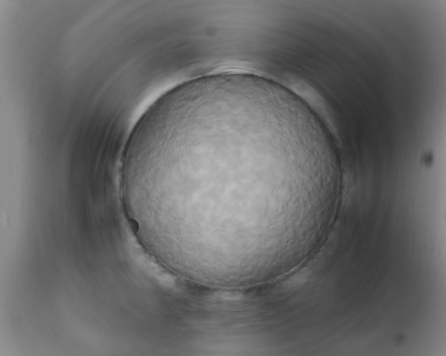 X0000110971190200907022237