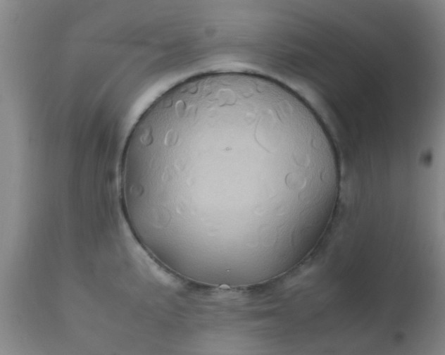 X0000110971191200907022237