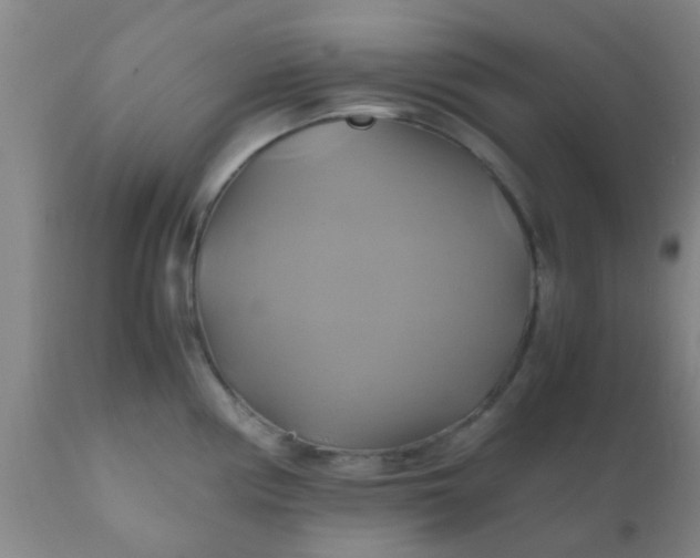 X0000110971194200907022237