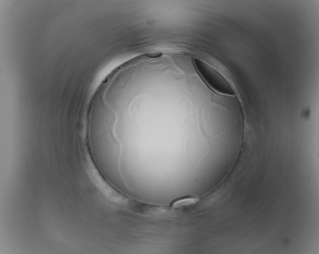 X0000110971195200907022237