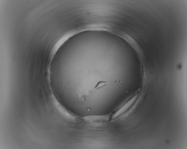 X0000110971196200907022237