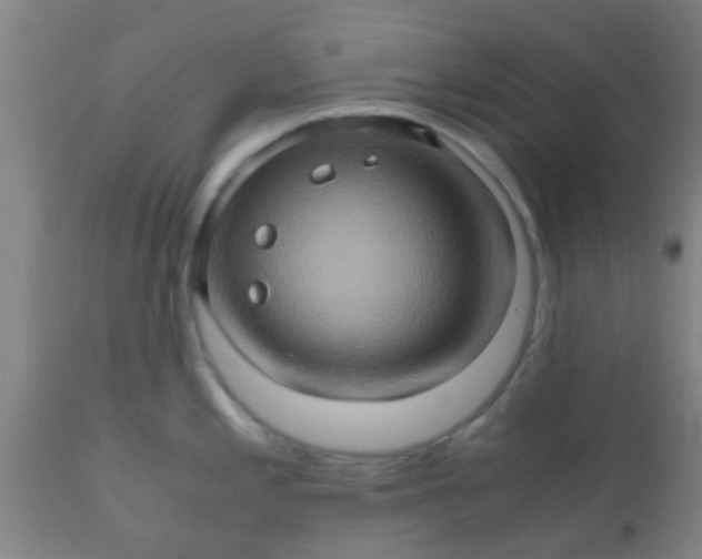 X0000110971197200907022237