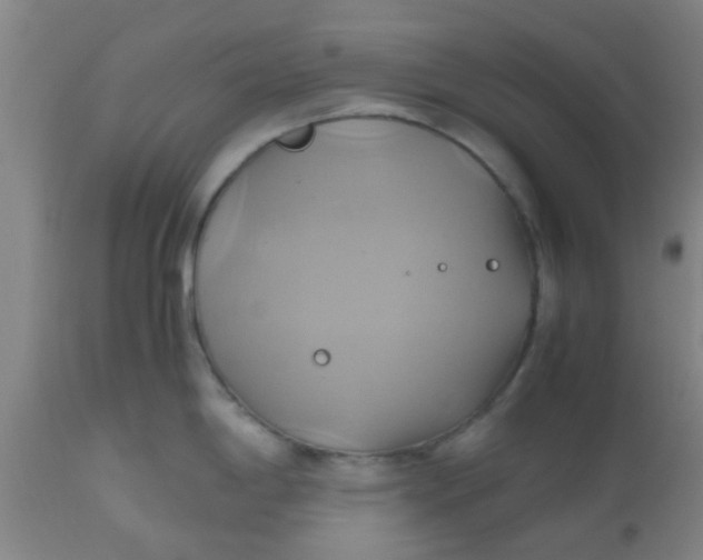 X0000110971198200907022237