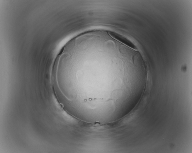 X0000110971199200907022237