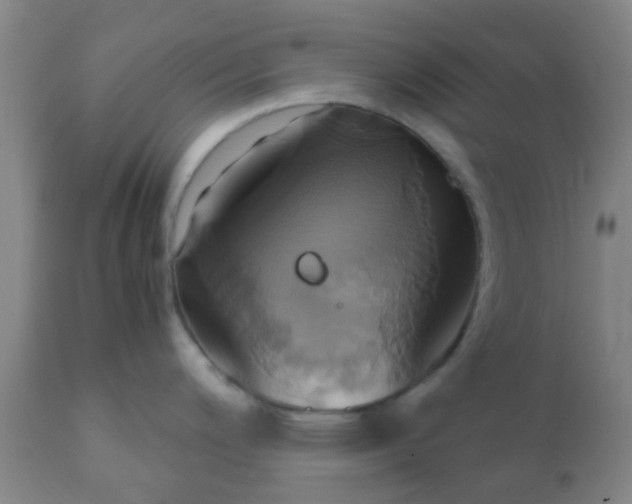 X0000110971200200907022237