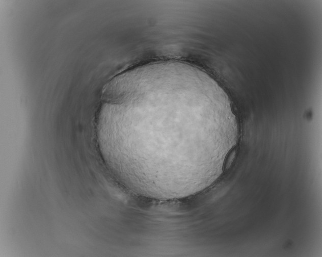 X0000110971201200907022237