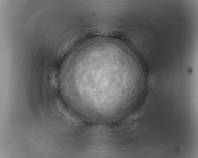 X0000110971202200907022237