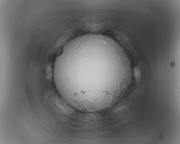 X0000110971203200907022237