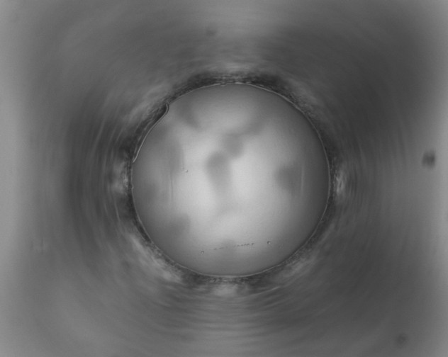 X0000110971204200907022237