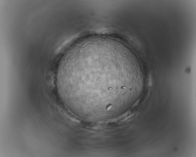 X0000110971205200907022237