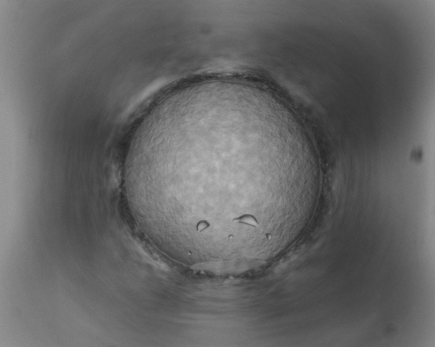 X0000110971206200907022237