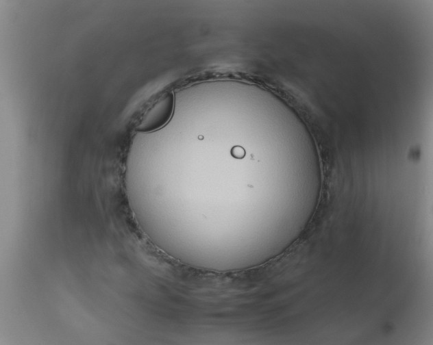 X0000110971207200907022237