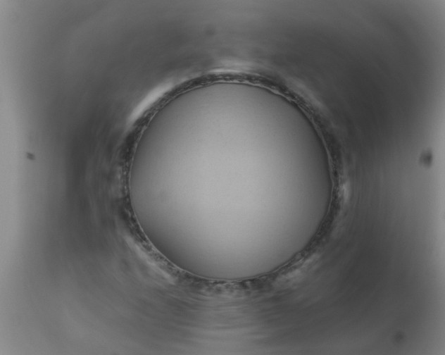 X0000110971208200907022237