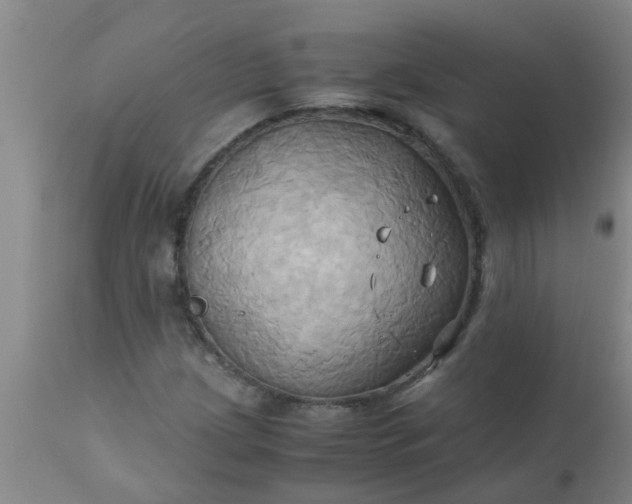 X0000110971209200907022237