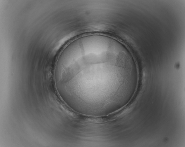 X0000110971210200907022237