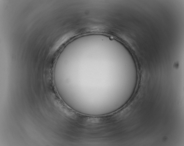 X0000110971211200907022237