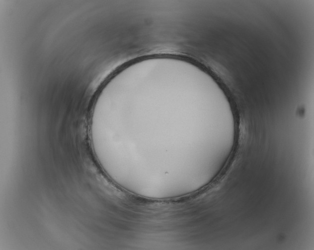 X0000110971212200907022237