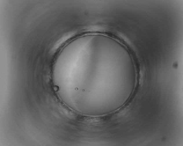 X0000110971213200907022237