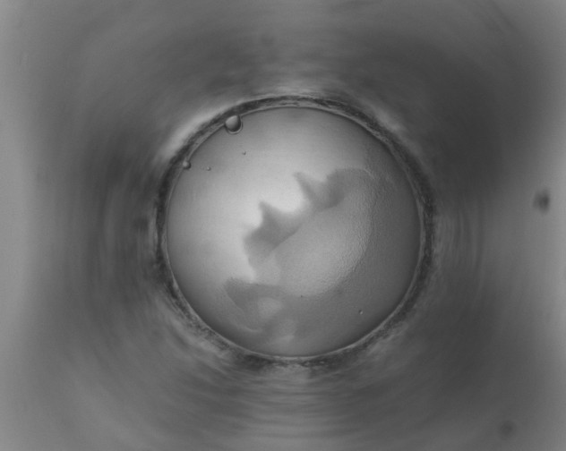 X0000110971214200907022237