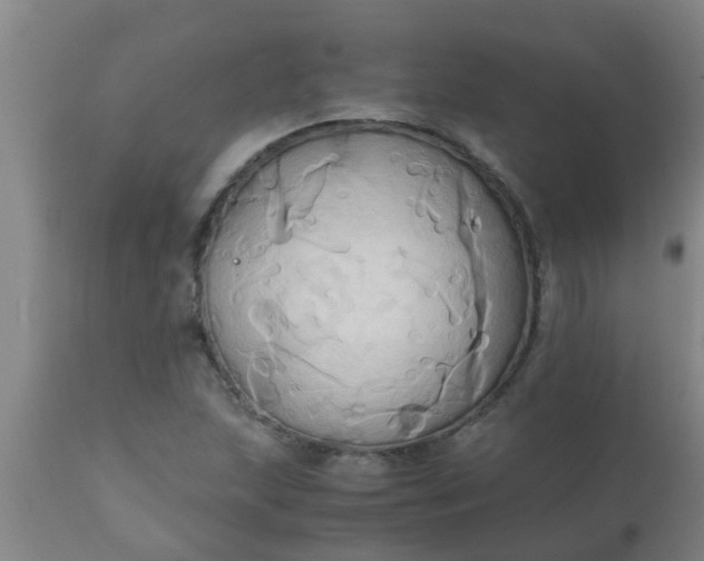 X0000110971215200907022237