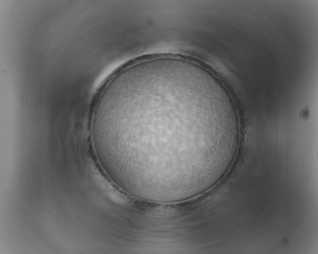 X0000110971216200907022237