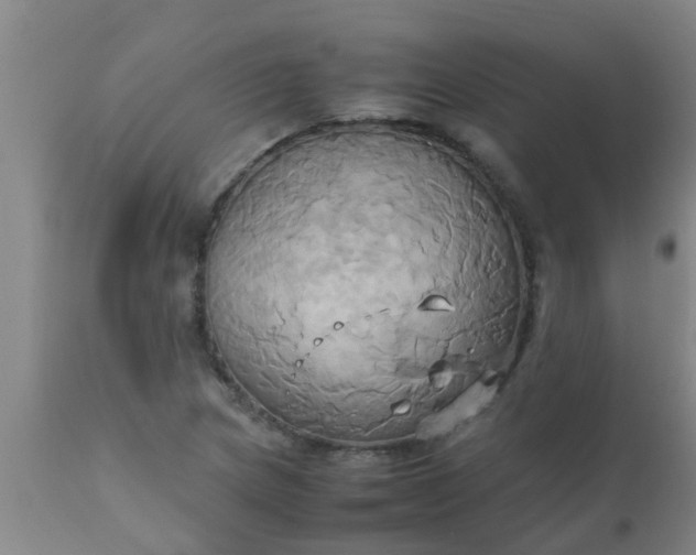 X0000110971217200907022237