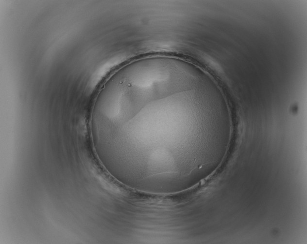 X0000110971218200907022237