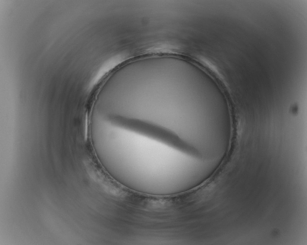 X0000110971219200907022237