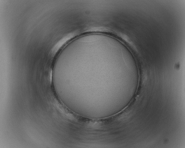 X0000110971221200907022237