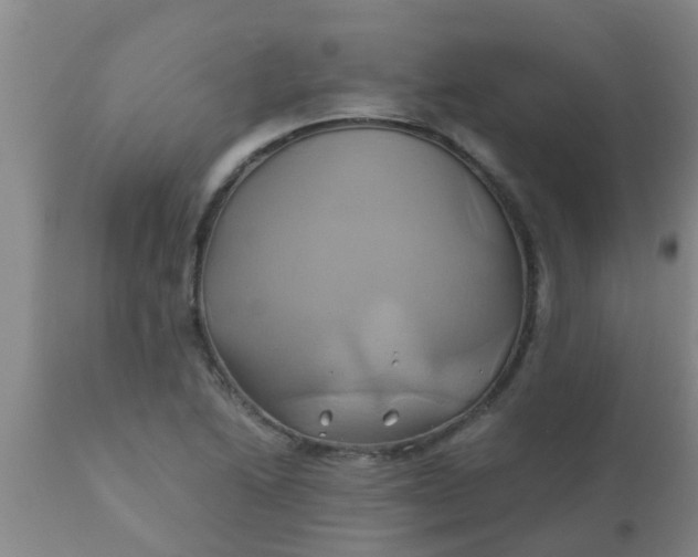 X0000110971222200907022237