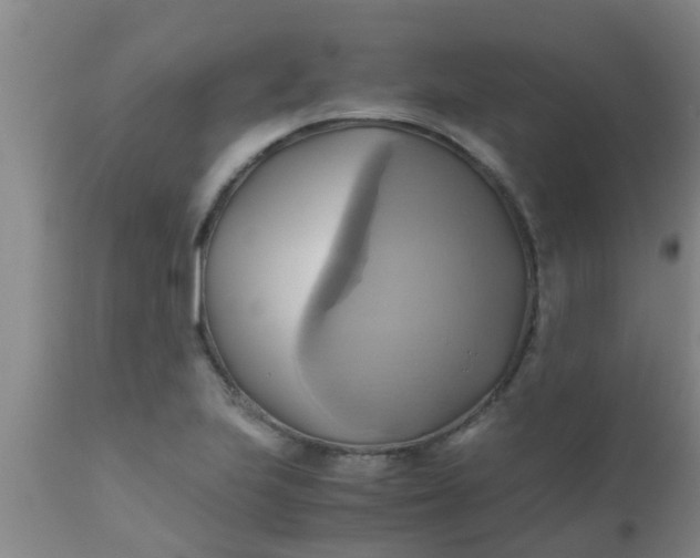 X0000110971223200907022237