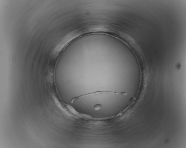 X0000110971225200907022237