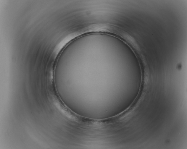 X0000110971226200907022237