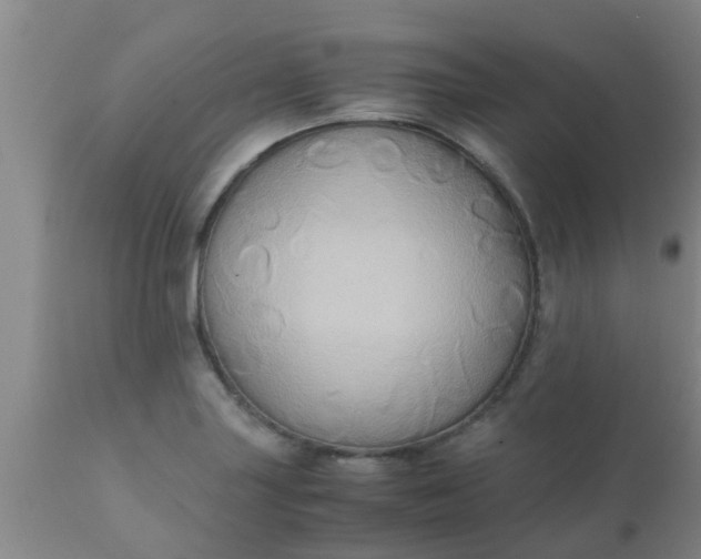 X0000110971227200907022237