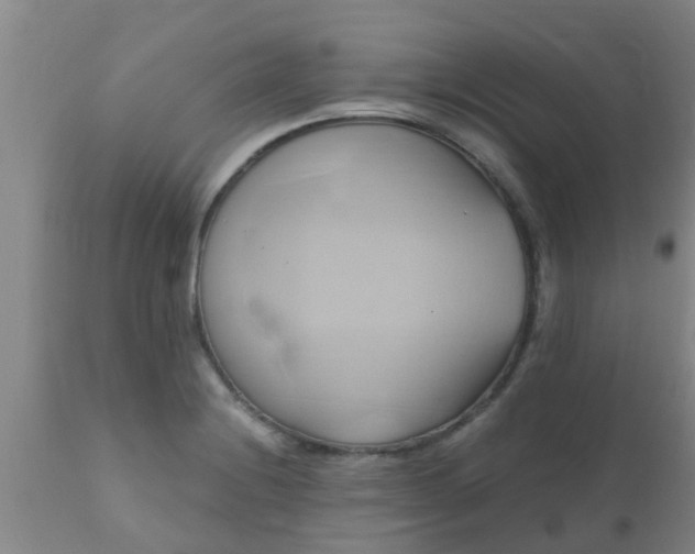 X0000110971228200907022237