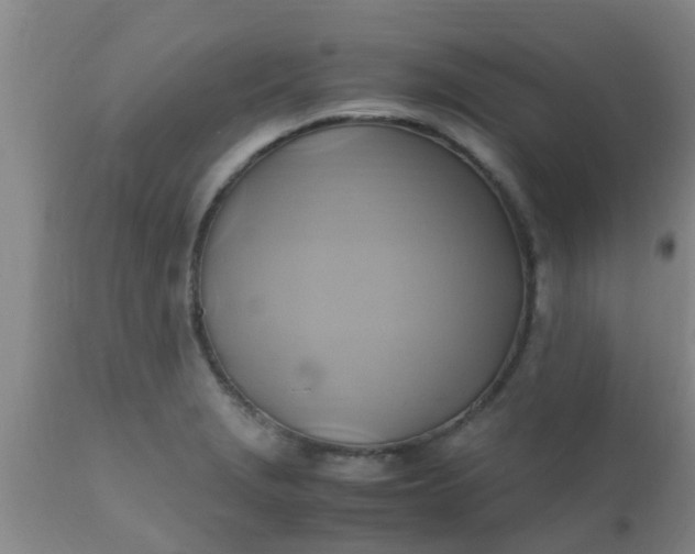 X0000110971229200907022237