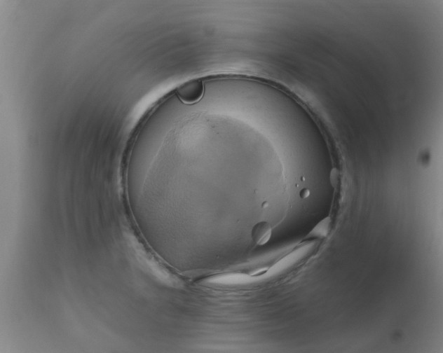 X0000110971230200907022237