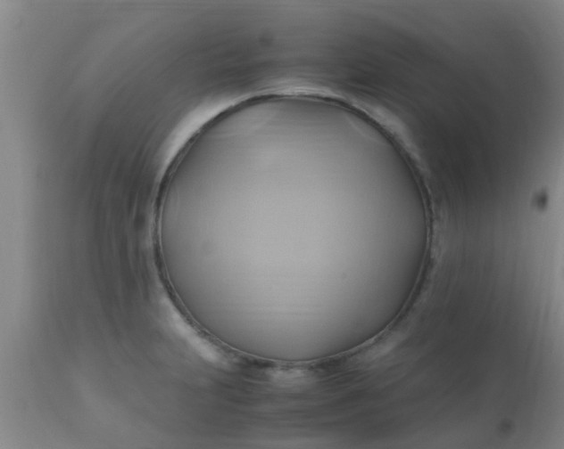 X0000110971231200907022237