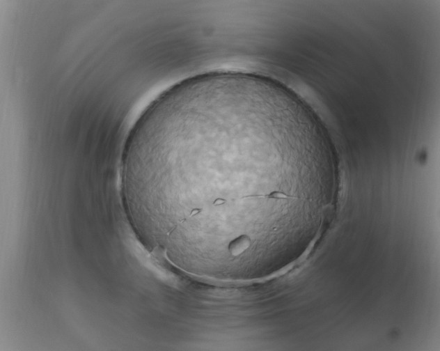 X0000110971232200907022237