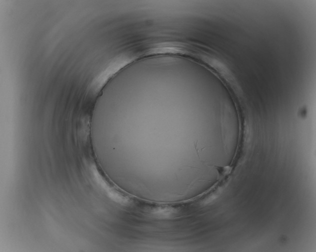 X0000110971233200907022237