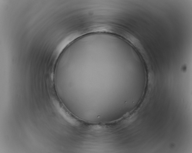 X0000110971234200907022237