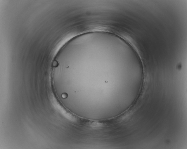 X0000110971235200907022237