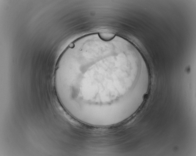 X0000110971236200907022237