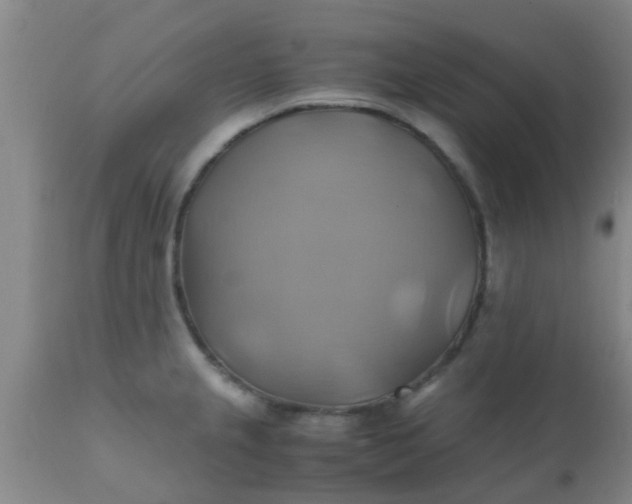 X0000110971237200907022237