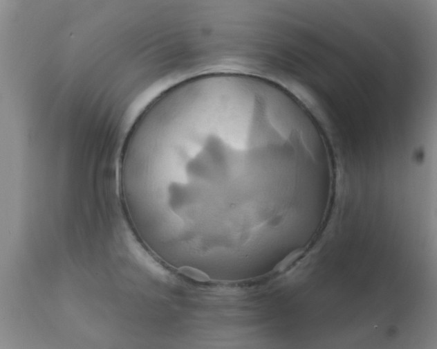 X0000110971238200907022237