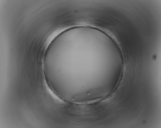 X0000110971239200907022237