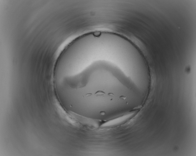 X0000110971240200907022237