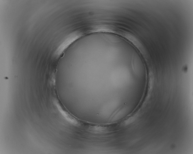 X0000110971241200907022237