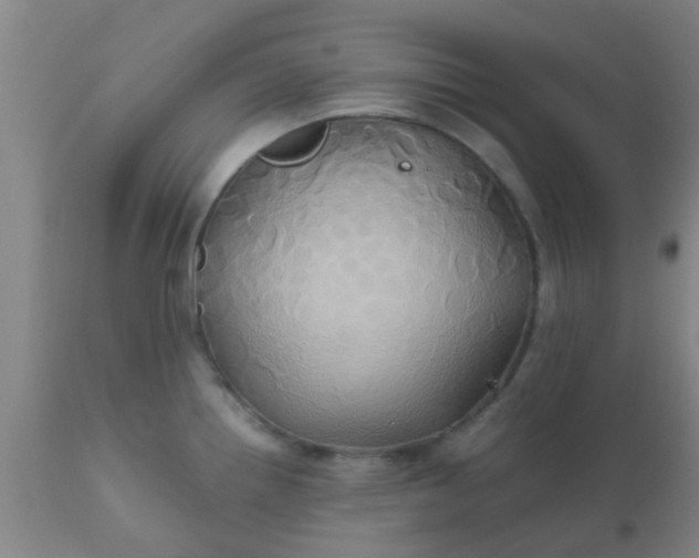 X0000110971242200907022237